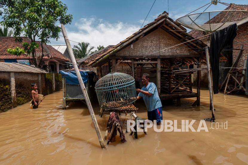 Warga menyelamatkan hewan ternaknya saat banjir merendam permukiman tersebut di Carita, Pandeglang, Banten, Sabtu (19/3/2022). Ratusan rumah yang berada di dua desa di Kecamatan Carita tersebut terendam banjir pada Sabtu (19/3/2022) dini hari, akibat hujan deras dan saluran drainase yang buruk.