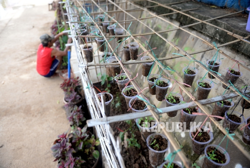 Warga menyiapkan tempat menanam tanamanhiasdi tepi Kali Ciliwung, Kawasan Raden Saleh, Jakarta Pusat, Selasa (6/12).