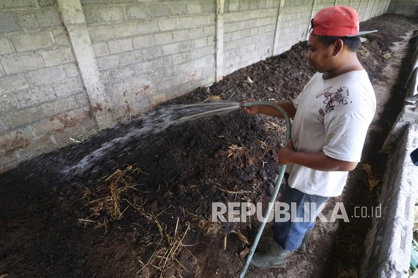 Warga menyiram kotoran sapi untuk pembuatan pupuk kompos (ilustrasi). Wakil Menteri Desa, Pembangunan Daerah Tertinggal dan Transmigrasi (Wamendes PDTT) Budi Arie Setiadi mengunjungi Gabungan Kelompok Tani (Gapoktan) mitra binaan PT Timah Tbk di Desa Tanjung, Kabupaten Bangka Barat, guna melihat langsung Program Pengembangan dan Pemberdayaan Masyarakat.