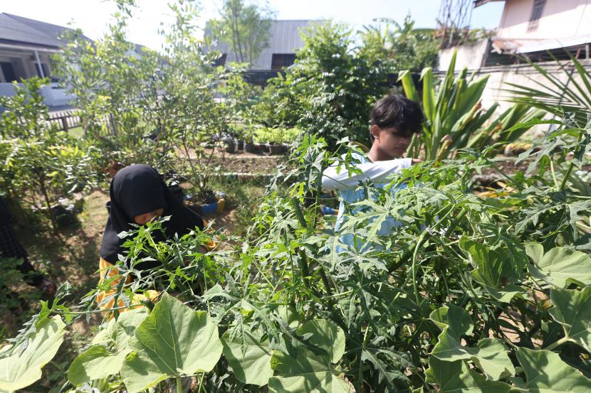 Warga merawat tanaman di Taman Obat Keluarga (TOGA) Bijeh Ban Keumang yang dikelola Tim Penggerak Pemberdayaan Kesejahteraan Keluarga (TP PKK) Desa Lambhuk, Banda Aceh, Aceh, Ahad (30/1/2022). Pada taman obat keluarga tersebut ditanam berbagai jenis tanaman obat-obatan herbal yang diyakini dapat menyembuhkan berbagai penyakit.
