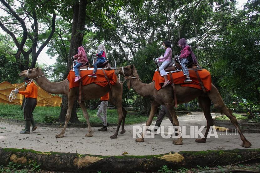 Pengunjung Kebun Binatang Surabaya Dilarang Gelar Tikar (ilustrasi).