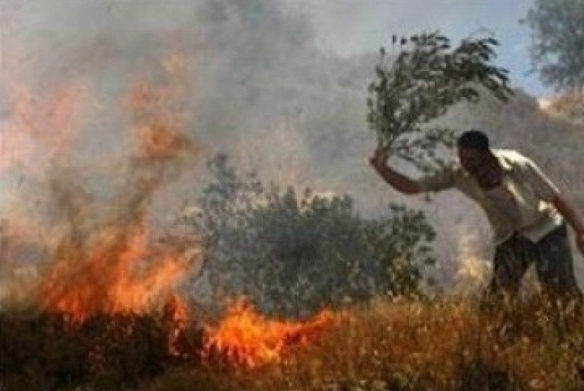 Warga Palestina mencoba memadamkan api yang membakar lahan dan kebun zaitun mereka.