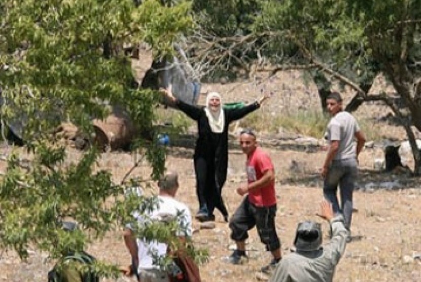 Pertama Kali Penduduk Beita Palestina Capai Tanah Rampasan. Warga Palestina mengusir pemukim Israel di kebun zaitun miliknya