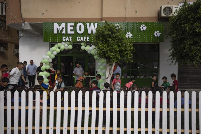 Warga Palestina menikmati kebersamaan dengan kucing pada hari pembukaan Kafe Meow di Kota Gaza, Kamis, 17 Agustus 2023. 