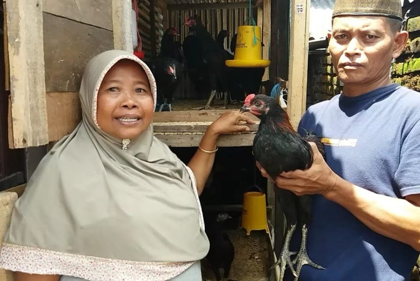 Warga penerima bantuan ayam kampung unggulan Balitbangtan (KUB)