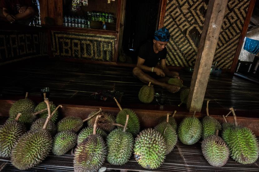 Warga Suku Baduy membelah durian yang akan dijualnya di Kampung Kaduketug, Lebak, Banten, Senin (11/10/2021).
