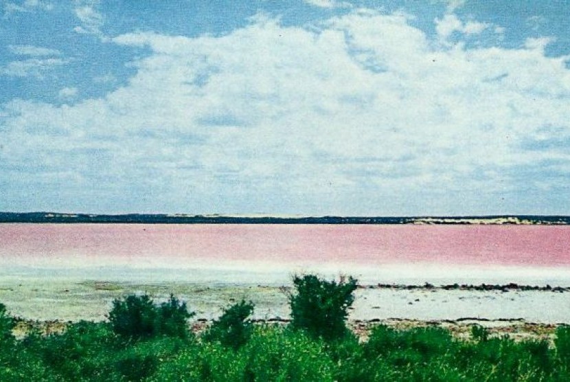 Warna merah muda Pink lake di tahun 1970-anlah yang membuatnya terkenal.
