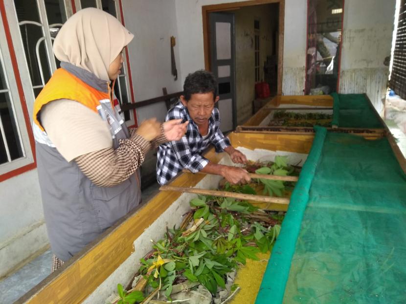 Warsan (62 tahun) lansia binaan Rumah Zakat asal Desa Tegalurung, Kecamatan Balongan, Kabupaten Indramayu yang banting setir dari tukang becak menjadi peternak jangkrik beromset jutaan rupiah, Senin (6/3/2023).