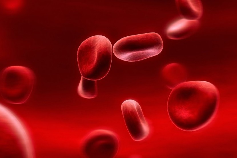Waspada bila menemukan darah di sejumlah cairan tubuh, bisa jadi ada masalah dalam kesehatan Anda.