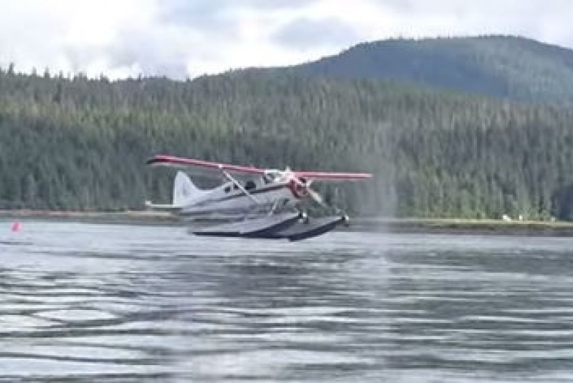 Whale v. Pontoon Plane becomes a hit online (picture)