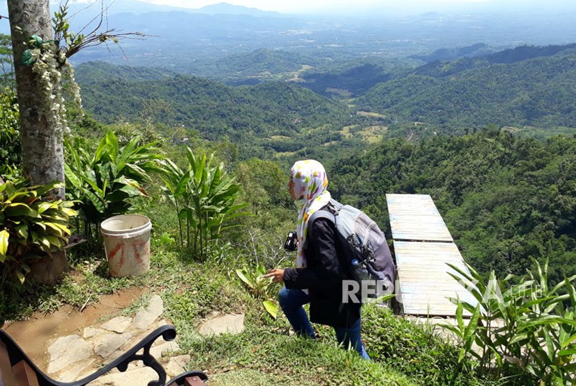 Wisata alam di bukit Ngisis kawasan Kebun Teh Nglinggo Desa Pagerharjo Kecamatan Samigaluh Kulon Progo.