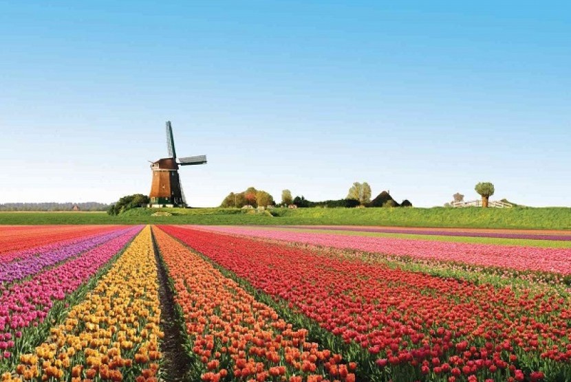 Wisata Belanda (Ilustrasi)