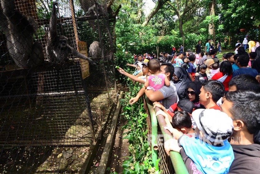 Wisata Kebun Binatang Sejumlah pengunjung memberi makan seekor monyet di Kebun Binatang, Jalan Taman Sari, Kota Bandung, Ahad (1/1).