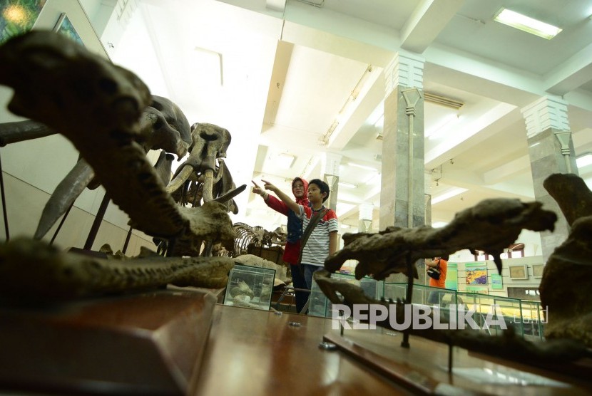 Wisata Museum Geologi Seorang anak bersama orangtunya mengamati fosil hewan purbakala di Museum Geologi, Jalan Diponegoro, Kota Bandung, Selasa (3/1). 