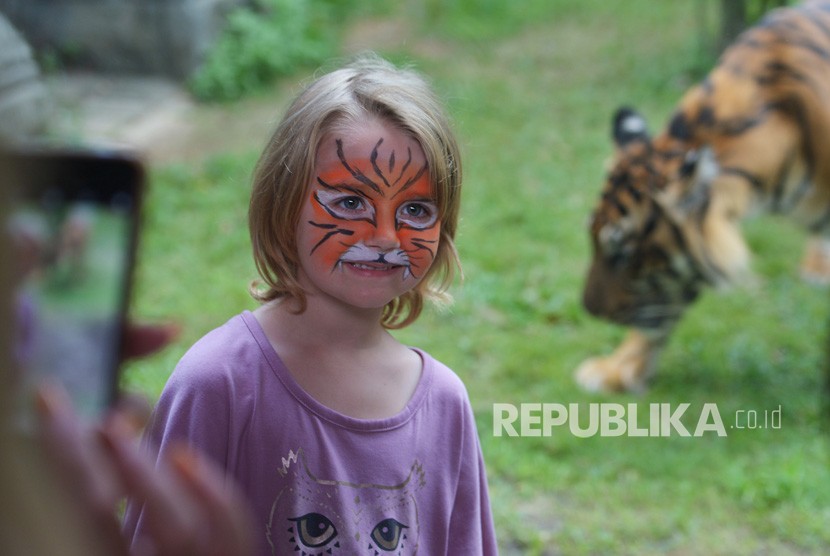 Wisatawan asing yang wajahnya dilukis menyerupai harimau berfoto dengan latar belakang Harimau Sumatra (Panthera Tigris Sumatrae) bernama Pandeka, saat turut merayakan Hari Harimau Sedunia (International Tiger Day) di Bali Zoo, Gianyar, Bali, Senin (29/7/2019). 