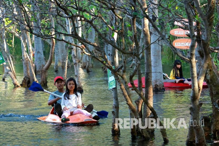 Wisatawan bermain kano di Rowo Cacalan, Banyuwangi, Jawa Timur, Sabtu (4/7/2020). Wahana bermain kano merupakan salah satu wisata yang ramai dikunjungi sejak dibukanya kembali tempat wisata di Banyuwangi yang telah terverifikasi sehat oleh Gugus Tugas Percepatan Penanganan COVID-19. 