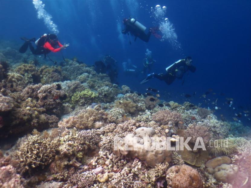 Pupuk Indonesia Grup mendukung rehabilitasi terumbu karang melalui program Tanggung Jawab Sosial dan Lingkungan (TJSL) yang salah satunya dilakukan oleh PT Pupuk Kaltim yang merupakan anak perusahaan PT Pupuk Indonesia (Persero). (ilustrasi)