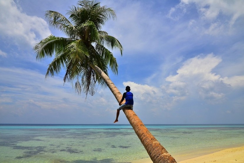 Wisatawan menaiki pohon kelapa di Pantai Tanjung Gelam, Pulau Karimunjawa, Jawa Tengah, Jumat (21/10)
