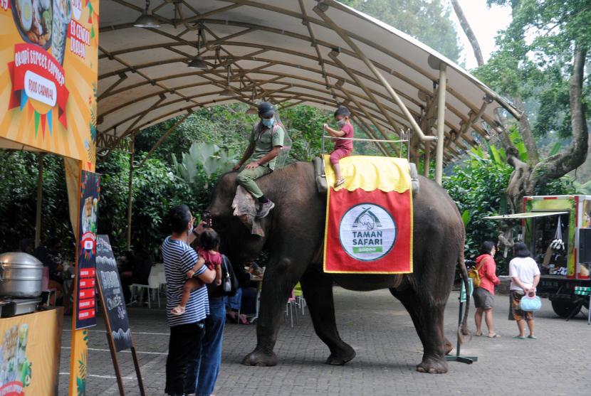 Wisatawan menunggang gajah Sumatera saat wisata satwa di Taman Safari Indonesia (TSI), Cisarua, Kabupaten Bogor, Jawa Barat (ilustrasi)