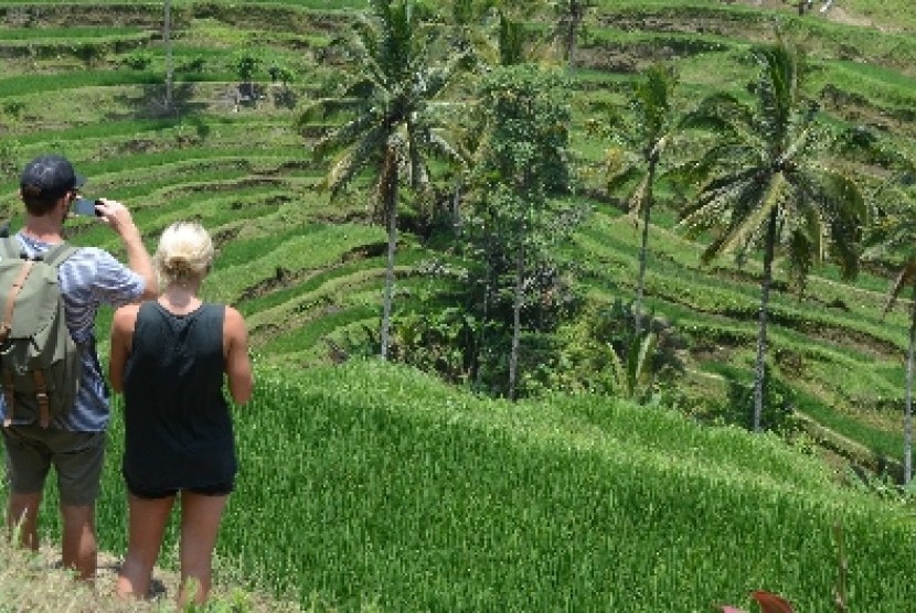 Wisatawan menyaksikan pemandangan terasering sawah berundak khas Bali di persawahan Desa Tegalalang, Gianyar, Bali.