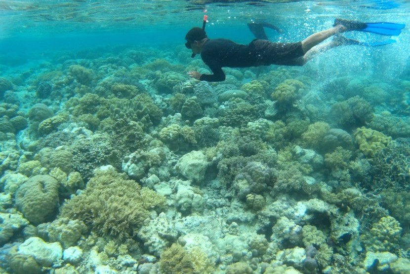 Pariwisata Wakatobi Optimistis Raih Nominasi API ...