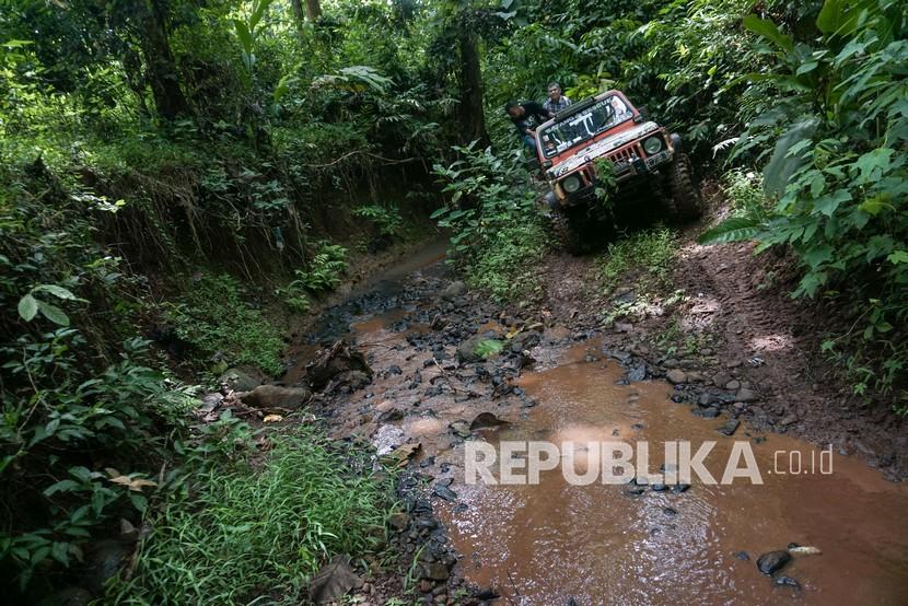 Wisatawan menyusuri hutan menggunakan mobil jenis Jeep (ilustrasi).