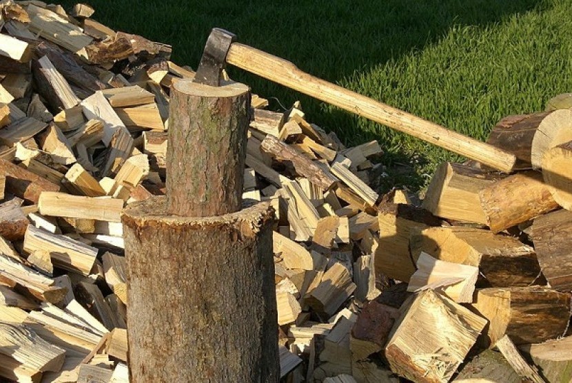 Wood is a typical source of biomass. (Illustration)