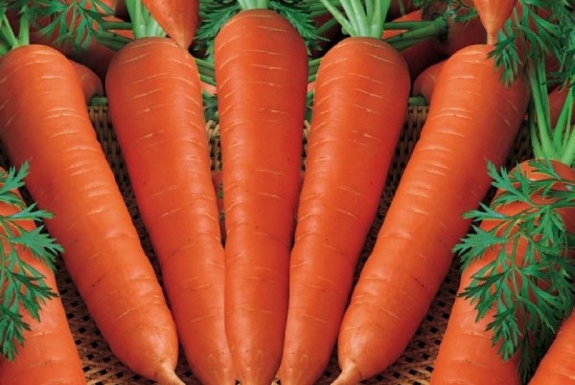 Gambar wortel