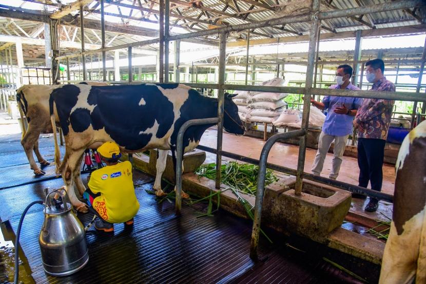 Yili Indonesia memiliki komitmen kuat ikut mengembangkan sektor hulu industri. Kegiataan yang dilakukan antara lain pemberdayaan para peternak sapi perah di Sleman-Yogyakarta.