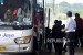 Sejumlah penumpang dari berbagai daerah turun dari bus antarkota antarprovinsi (akap) di Terminal Terpadu Pulogebang, Jakarta, Sabtu (8/6).