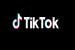 Aplikasi media sosial asal China, TikTok, menggulirkan tagar MudikOnline.