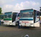 Bus dan armada angkutan lain di terminal Magelang siap melayani pemudik.