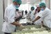 Dapur dan pengemasan katering untuk calon haji Indonesia di Madinah (Ilustrasi)