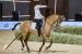 Festival Kuda Arab 2022 Dibuka di Riyadh