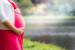 Ilustrasi Ibu Hamil. Menjalankan puasa tidak memberikan efek buruk pada ibu hamil di trimester pertama.