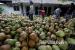 MPU Aceh Minta Umat tidak Gelar Buka Puasa Bersama. Pedagang menjual kelapa muda di pinggir jalan Banda Aceh, Senin (27/4). Air kelapa muda merupakan salah satu minuman favorit berbuka puasa di tanah air, termasuk warga kota Banda Aceh.