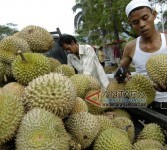 Pedagang durian (ilustrasi)