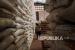 Pekerja memanggul karung berisi beras di gudang Perum Bulog, Senin (21/3/2022). Perum Bulog Cabang Mamuju Provinsi Sulawesi Barat menjamin stok pangan di daerah itu aman hingga Idul Fitri.