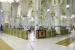 Penanaman Pohon Direncanakan di Halaman Masjidil Haram. Foto: Pengurus Dua Masjid Suci telah mengalokasikan pintu masuk dan tempat sholat khusus bagi penyandang disabilitas di Masjidil Haram.