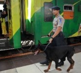 Petugas keamanan patroli berkeliling membawa anjing jenis Dobermen di kawasan Stasiun Senen, Jakarta, Ahad (28/8). Pasca Pembajakan Kereta Gajayana jurusan Malang-Jakarta, pengamanan stasiun lebih diperketat.