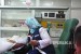 Petugas medis mengevakuasi dua jamaah sakit di Klinik Kesehatan Haji Indonesia (KKHI) Daker Madinah ke Makkah.