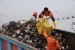 Petugas Suku Dinas Kebersihan Kepulauan Seribu memindahkan sampah dari kapal pengangkut sampah ke truk di Pelabuhan Muara Angke, Jakarta Utara, Rabu (16/12). (Republika/Agung Supriyanto)