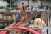 Sejumlah pekerja sedang menarik kabel pada pekerjaan galian kabel PLN di sekitar Sunter Kemayoran Jakarta, Senin (29/5). 