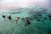   Sejumlah wisatawan menyelam di sekitar perairan Pulau Derawan, Berau, Kalimantan Timur beberapa waktu lalu.  (Nur Aini/Republika)