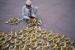 Seorang anak laki-laki menyiapkan iftar bagi jamaah di Masjid Jama, Delhi, India.