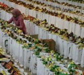 Seorang karyawan Republika tampak menata dan memasukkan bingkisan ke dalam kardus yang akan dibagi-bagikan kepada ribuan anak yatim di Masjid At-Tin Jakarta. 