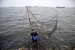 Seorang nelayan mengangkat jaring di wilayah pesisir pantai. (ilustrasi)