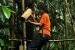 Seorang warga memanjat pohon aren untuk menyadap pohon dan menampung air nira.