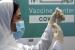 Arab Saudi  telah rampung vaksinasi kalangan lansia untuk dosis kedua. Vaksinator bersiap menyuntik vaksinasi Covid-19 Pfizer di Arab Saudi.