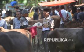 Pedagang dan pembeli ternak bernegosiasi harga menggunakan jari di balik kain di Pasar Ternak Sungai Sariak, Padang Pariaman, Sumatera Barat, Rabu (20/5/2026). Tradisi bernegosiasi harga di balik kain yang disebut Marosok itu masih diberlakukan pembeli dan penjual ternak di sejumlah daerah di Sumatera Barat untuk menjaga kerahasiaan dari pihak lain khususnya saat penjualan meningkat sepekan menjelang Idul Adha. 